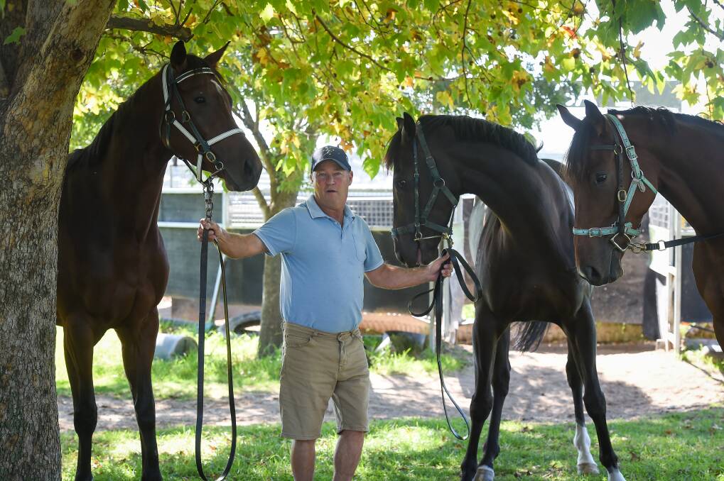 THREE'S A CROWD: Wodonga trainer David O'Prey shows off Tori Maguerite, This Skilled Cat and Tyson Returns ahead of Thursday's nine-race meeting at Wangaratta. This Skilled Cat and Tyson Returns are both acquisitions from Craig Widdison's stable. Picture: MARK JESSER