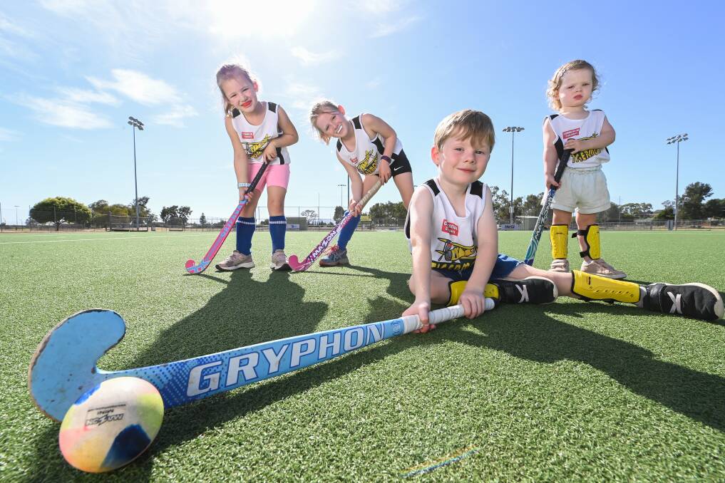 FUTURE STARS: Callum Clark, 5 (front), Freya Poulton 4, Gemma Poulton, 6 and Lola Clark, 2, are all set for the Tiger Moths come and try hockey program to start. Picture: MARK JESSER