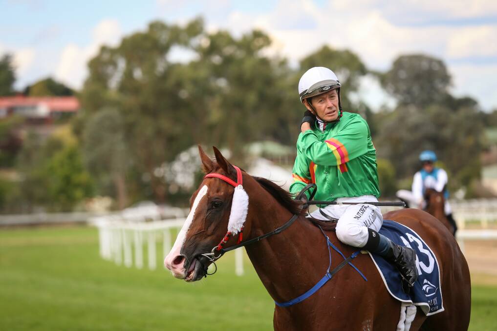 OVER THE MOON: Jockey Matthew Cahill was thrilled to pilot a victory on Just A Flash for Cowra trainer Andrew Molloy in the Flat Knacker at Albury. Picture: JAMES WILTSHIRE