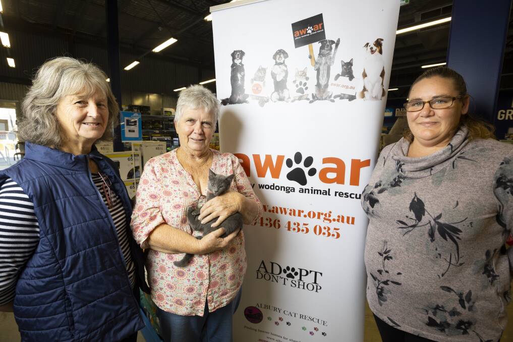HELPING HAND: Albury Wodonga Animal Rescue's Lorraine Webb and Rae Smith, holding Mouse the kitten, accept a donation from Wahgunyah's Casey Newcombe who organised a fundraiser to support the group. Picture: ASH SMITH