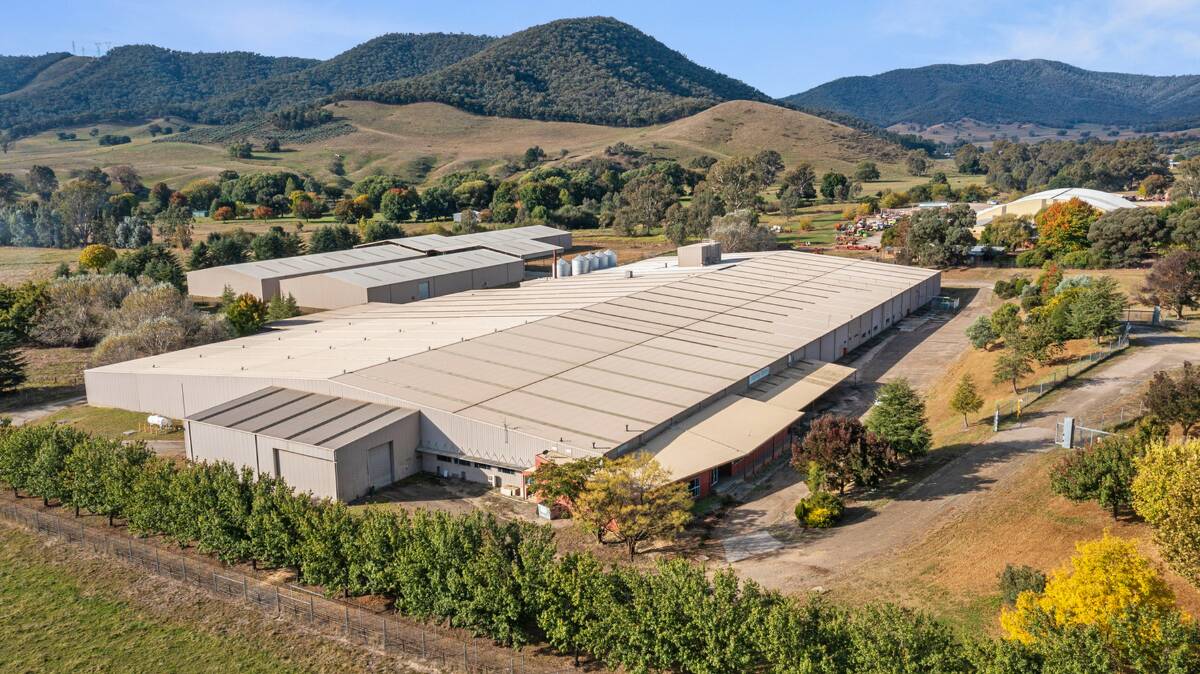 TAKING OFFERS: A Myrlteford industrial property built by Philip Morris Australia during the town's tobacco growing boom is for sale. Picture: ELDERS REAL ESTATE