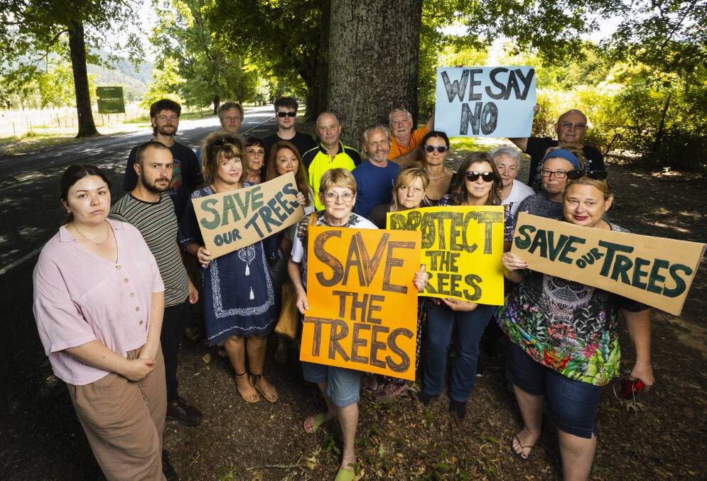 Bright residents have been vocal about stopping the removal of elm trees at the town's entrance to make way for a new housing development. Picture by Ash Smith