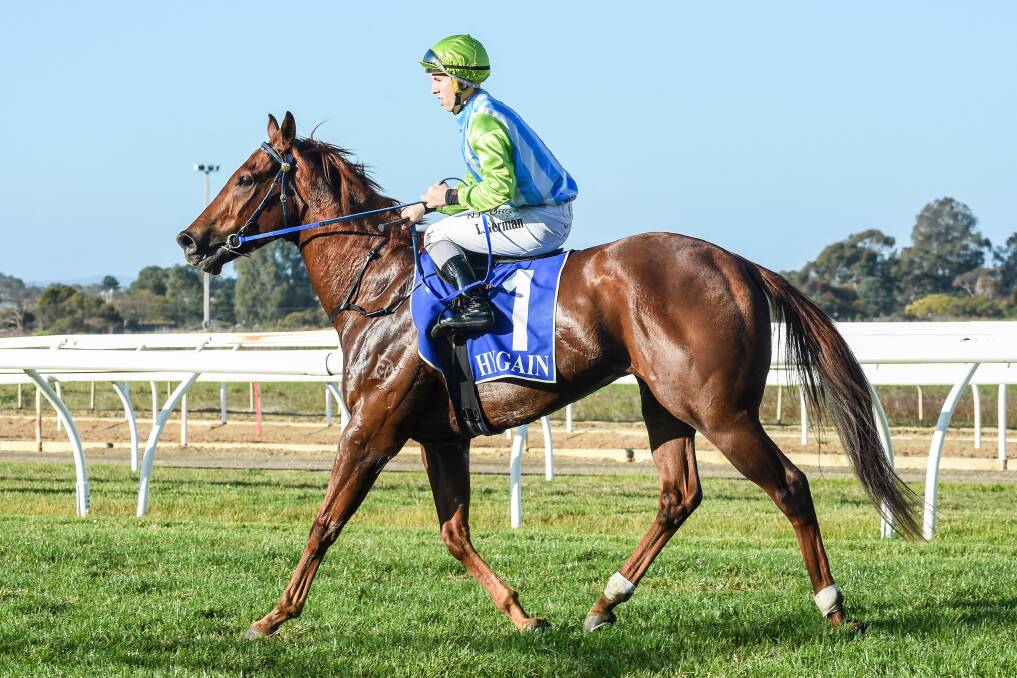 Corowa trainer Geoff Duryea was thrilled with the performance of Front Page at Flemington on Saturday, winning the listed Creswick Stakes. Picture: RACING PHOTOS