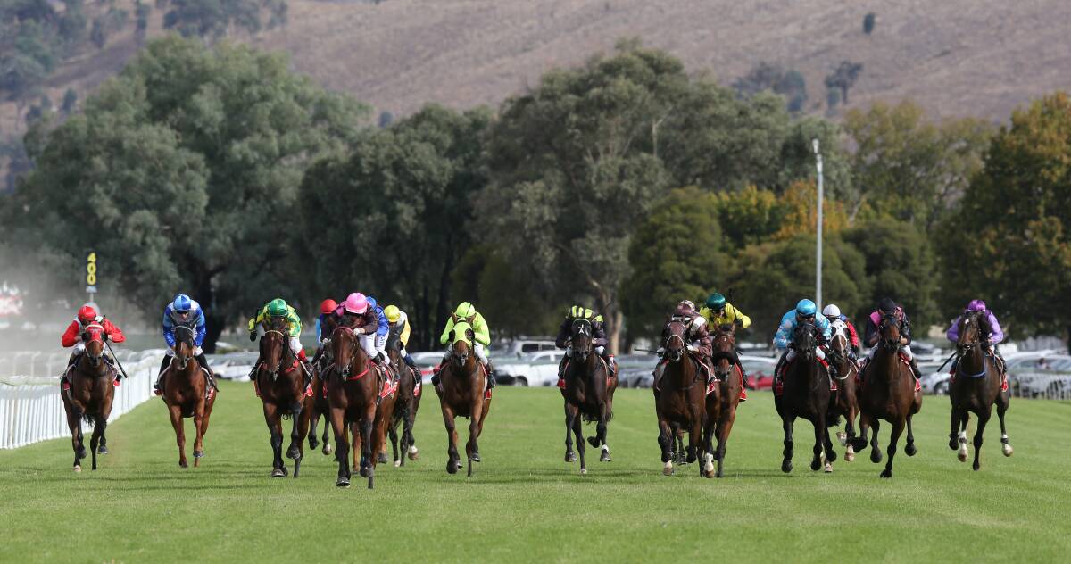 PRIZEMONEY BOOST: The Albury Gold Cup will be worth $200,000 from next year onwards.