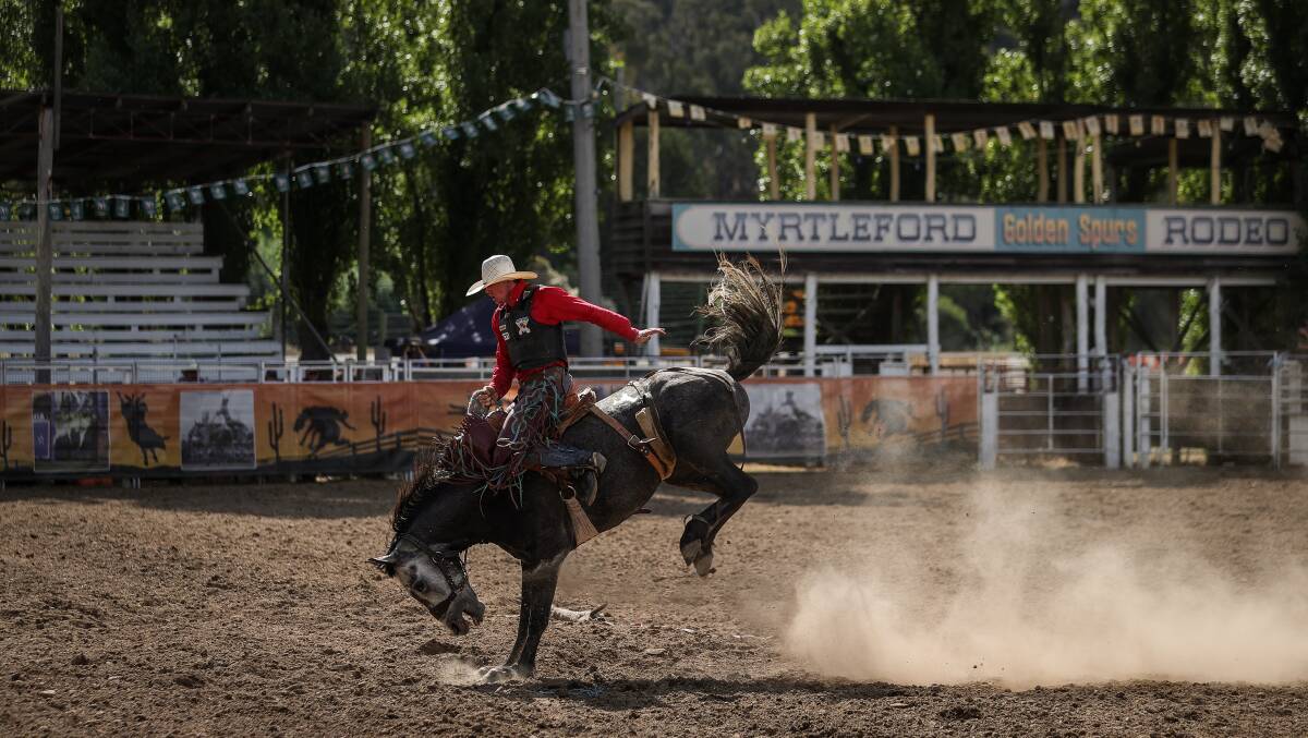 Coupar Woods steadies himself on his horse during the 2022 Myrtleford Golden Spurs Rodeo. Strong entries have been received for the 2023 event on Boxing Day. Picture by James Wiltshire
