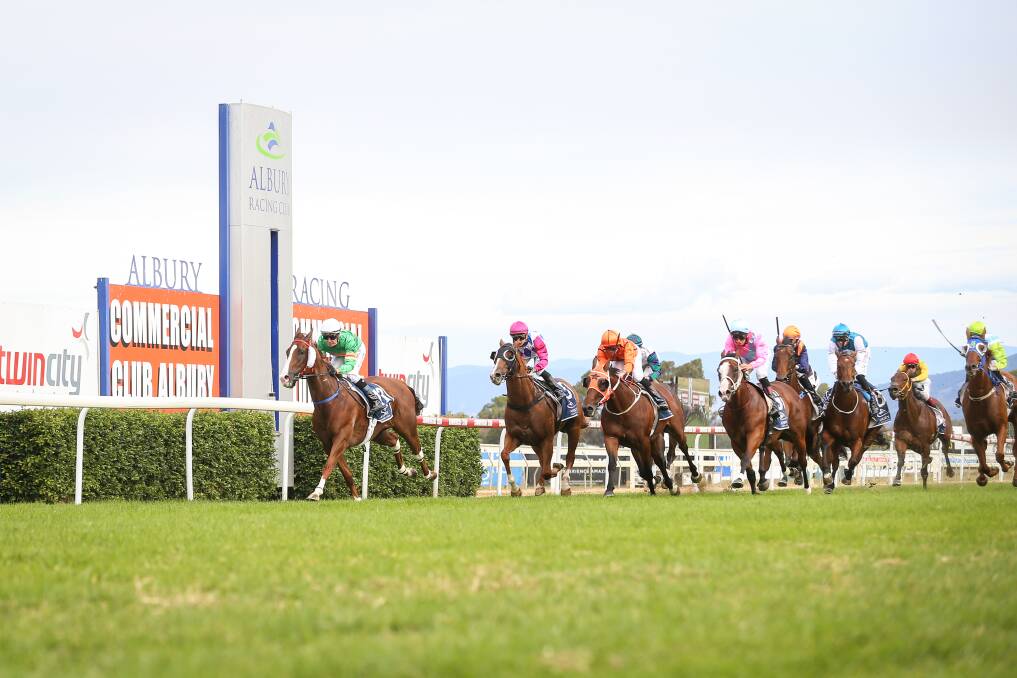 ON POINT: Just A Flash secured a commanding victory in the Flat Knacker at Albury on Friday. Picture: JAMES WILTSHIRE