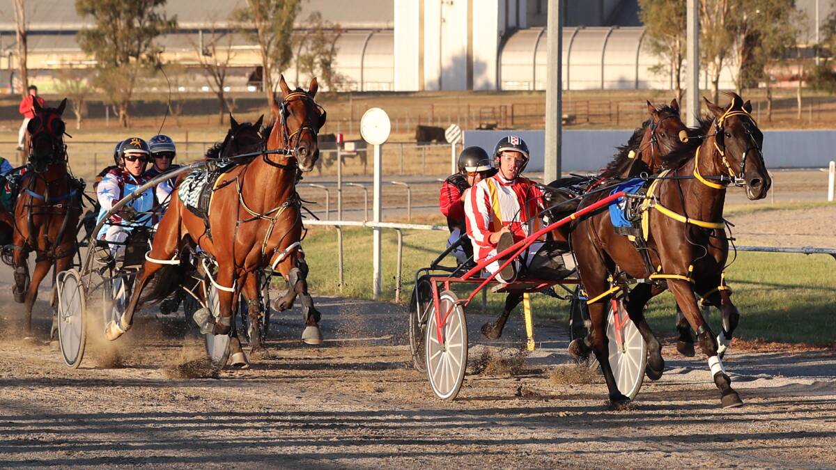 Cameron Maggs pilots a recent victory. Maggs drove the Ian Livermore-trained Carla Clare to a win in the Albury Pacers Cup on Saturday night.