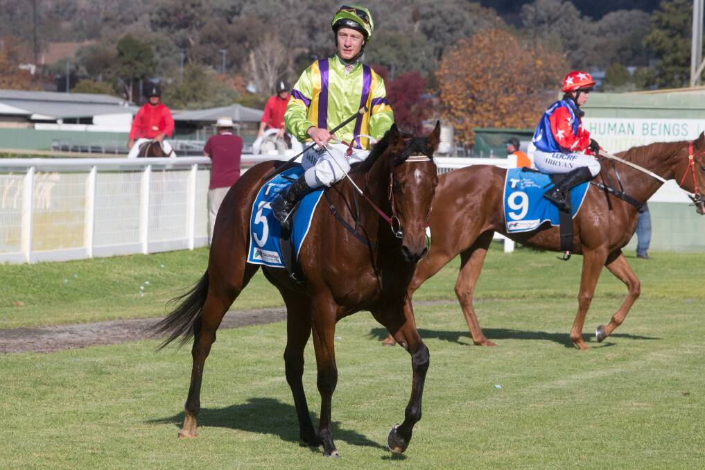 Jack Hill rode the Darren Weir-trained Prevailing Winds to victory last year.