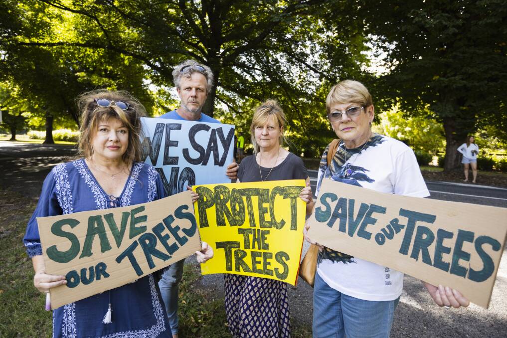 Bright's Sue Ronco, Steven Diffy, Leanne Boyd and Hilly Hart holding signs in support of protecting the avenue of elm trees from removal. Picture by Ash Smith