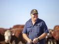 First to try: Riverina Hereford producer John Doyle, "Claredale", is the first user of Provenir on farm.