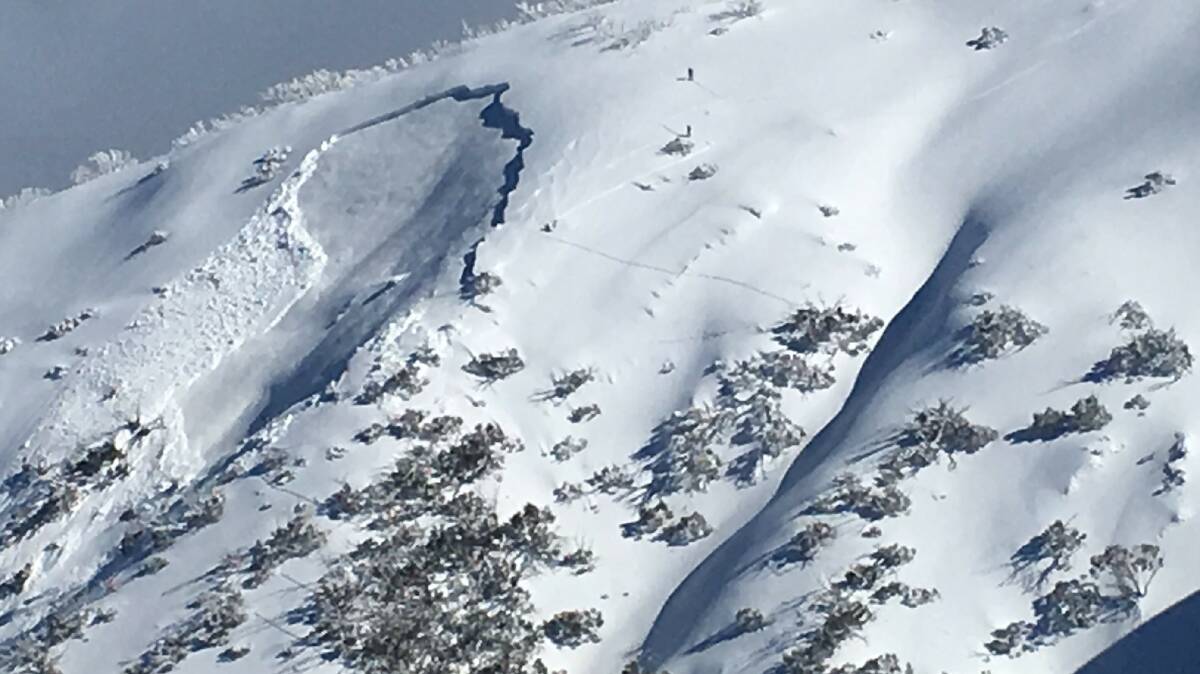 The avalanche on Mount Hotham on Tuesday morning. Photo: Mount Hotham Alpine Resort