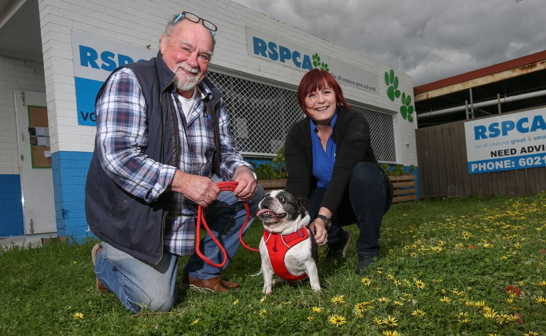 DID SOMEONE SAY SAUSAGES?: Volunteer Colin Barrow, co-ordinator Cathy Woodbridge and Larry the French Bulldog are all set for the RSPCA Albury volunteer branch's garage sale and open day tomorrow. Picture: TARA TREWHELLA