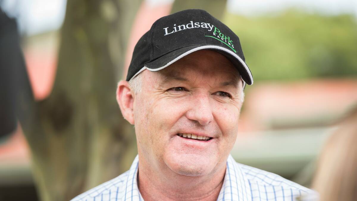 David Hayes' Lindsay Park team have a great record in the Gold Cup, with Sin To Win their starter this year.