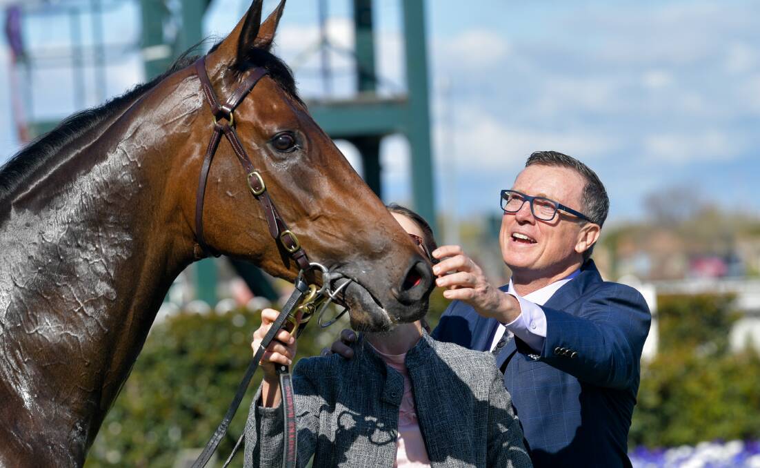WELL DONE: Trainer David Vandyke gives Alligator Blood a congratulatory pat after his victory in the Caulfield Guineas prelude.