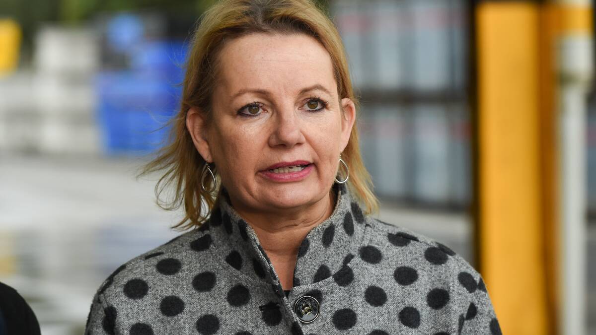 TIMELY: Sussan Ley has not rushed into a commitment on marriage equality but her recent statements in support come at a historic moment in the debate, a reader says.