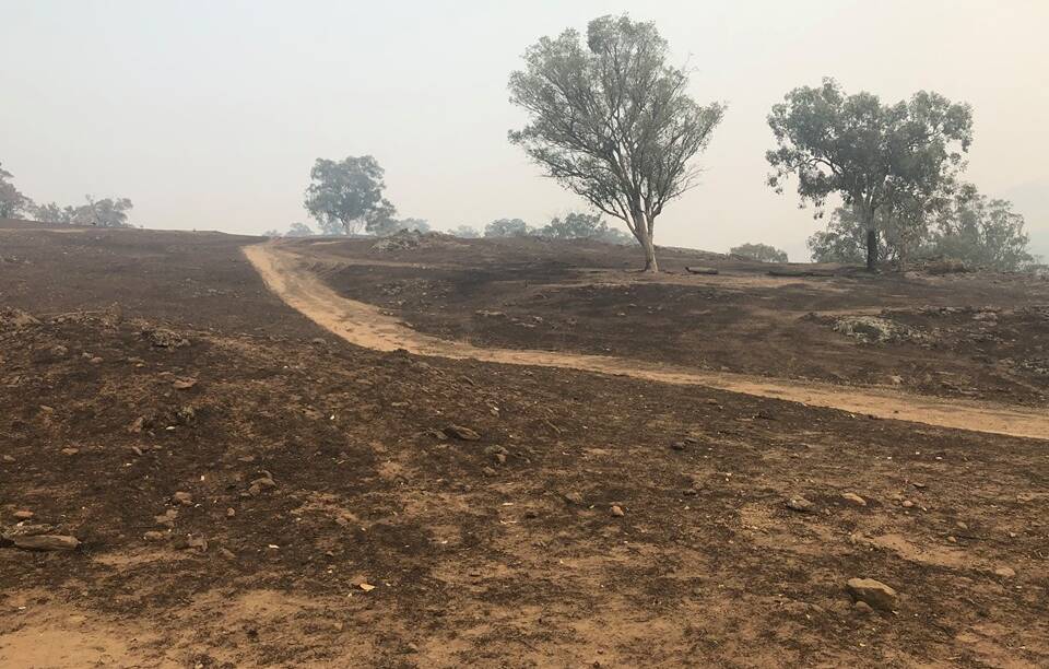 RAZED: Wal Bounader's property after the January 10 blaze. The fire travelled almost four kilometres in less than an hour. 