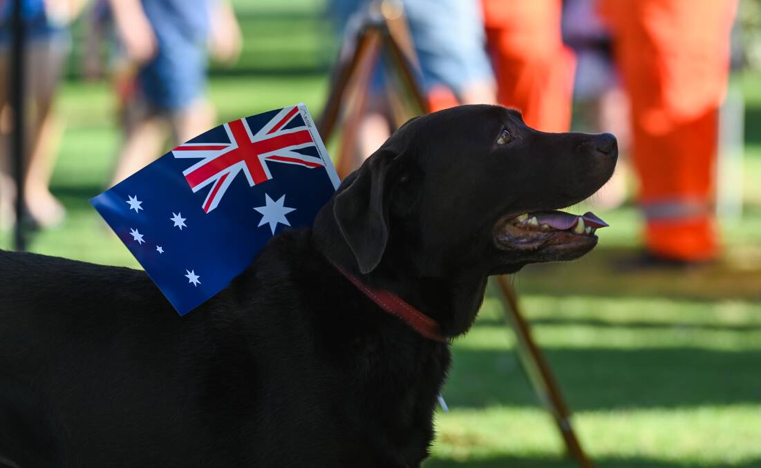 IN PICTURES: Hundreds turn out at Border events for Australia Day