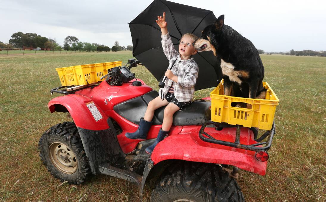 Welcome wet ... Dian Scott, 3, was happy to be playing in the rain on his family's farm at Burrumbuttock with the family dog, TJ.