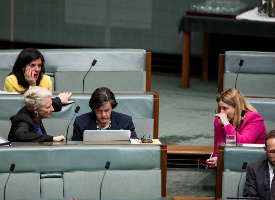PUSH COMES TO SHOVE: Indi MP Cathy McGowan will reveal her position on fellow cross-bencher Dr Kerryn Phelps' Urgent Medical Transfer bill this week in federal parliament.