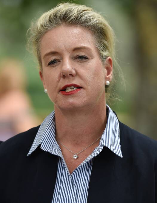 WARY: Bridget McKenzie has spoken out as tensions are high in government ranks over an internal push to commit Australia to net-zero emissions by 2050. 