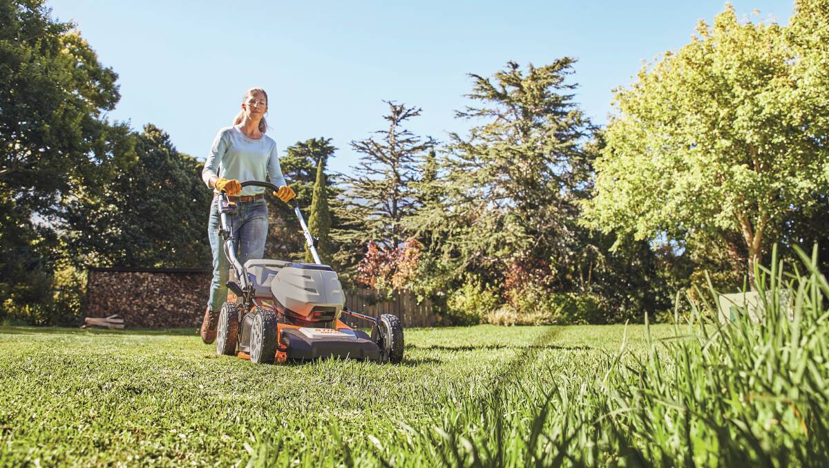 Mow regularly: If the grass is allowed to get too long, there will be a lack of sunlight hitting the lower parts of the grass blades, resulting in yellow patches.