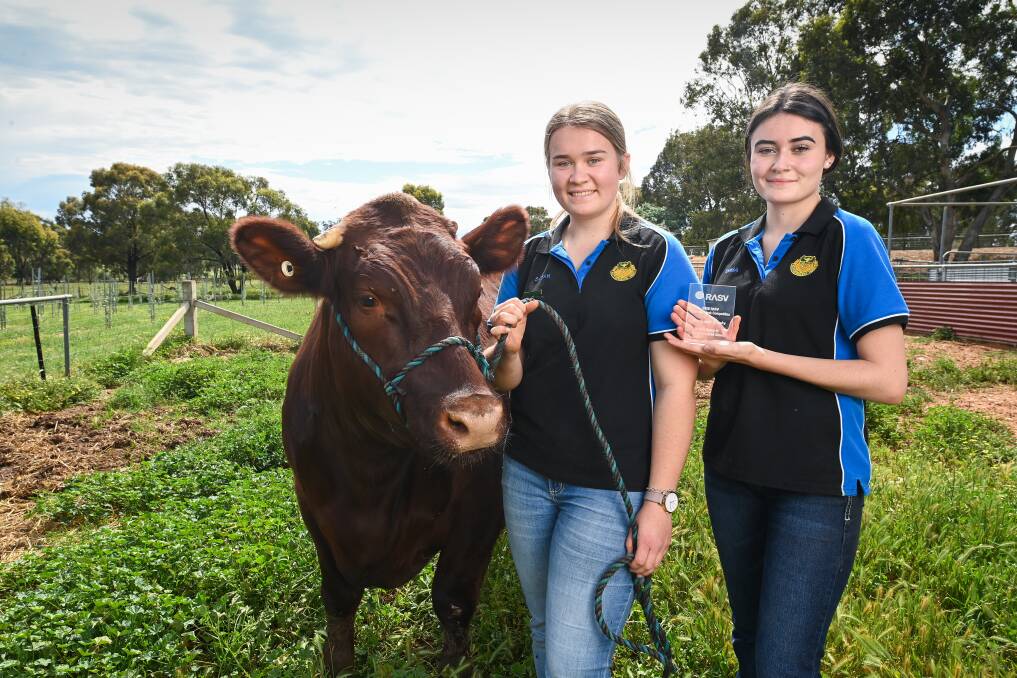 BIG WIN: Rutherglen High School cattle handling team captains Sarah White and Emma English, both 17, helped win a major steer competition. Picture: MARK JESSER