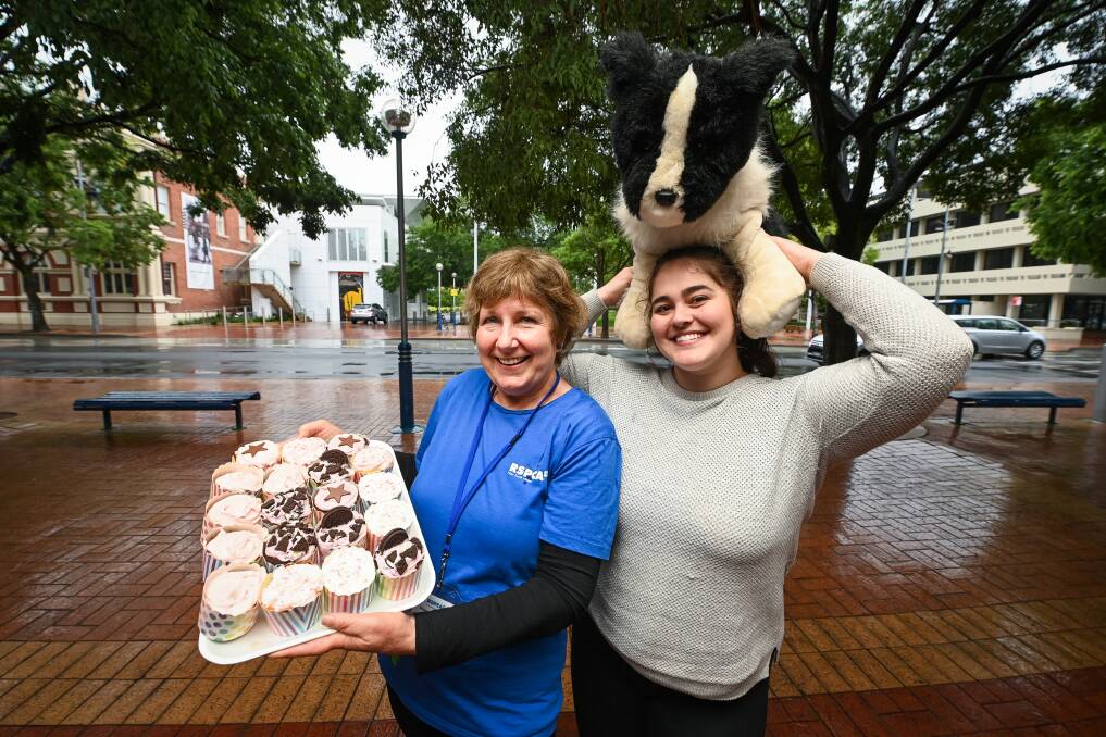 SNAPPED UP: Albury RSPCA volunteer Helen McPherson and veterinary student Jacqui McMahon, who baked cupcakes for a fundraiser in Albury on Saturday. Monday is the charity's cupcake day. Picture: MARK JESSER