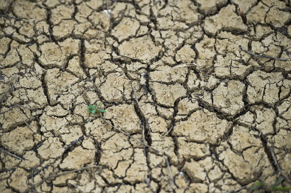 It wasn't long ago that the signs of drought were abundant in the region. Picture: MARK JESSER