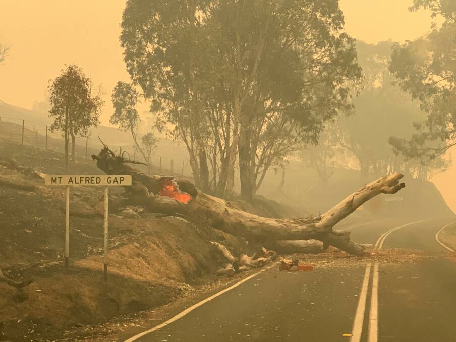 Murray River Road at Mount Alfred was among those closed off during the fire emergency. Picture: RRV