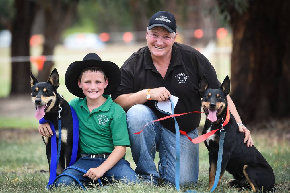 TALENT: Zack Carroll, 10, from Tarrawingee and his Kelpie Wilbur came first in the dog high jump while his dad Travis, and his dog, Kevin, came second. Picture: MARK JESSER