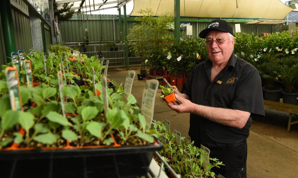 READY TO SERVE: George Benyon says his business, Peards Albury, has been able to adapt to COVID-19 conditions thanks to customer and government support. Picture: MARK JESSER
