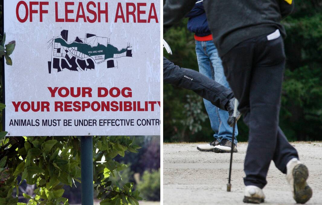 Golfers and dog walkers coming to blows prompts new off-leash idea