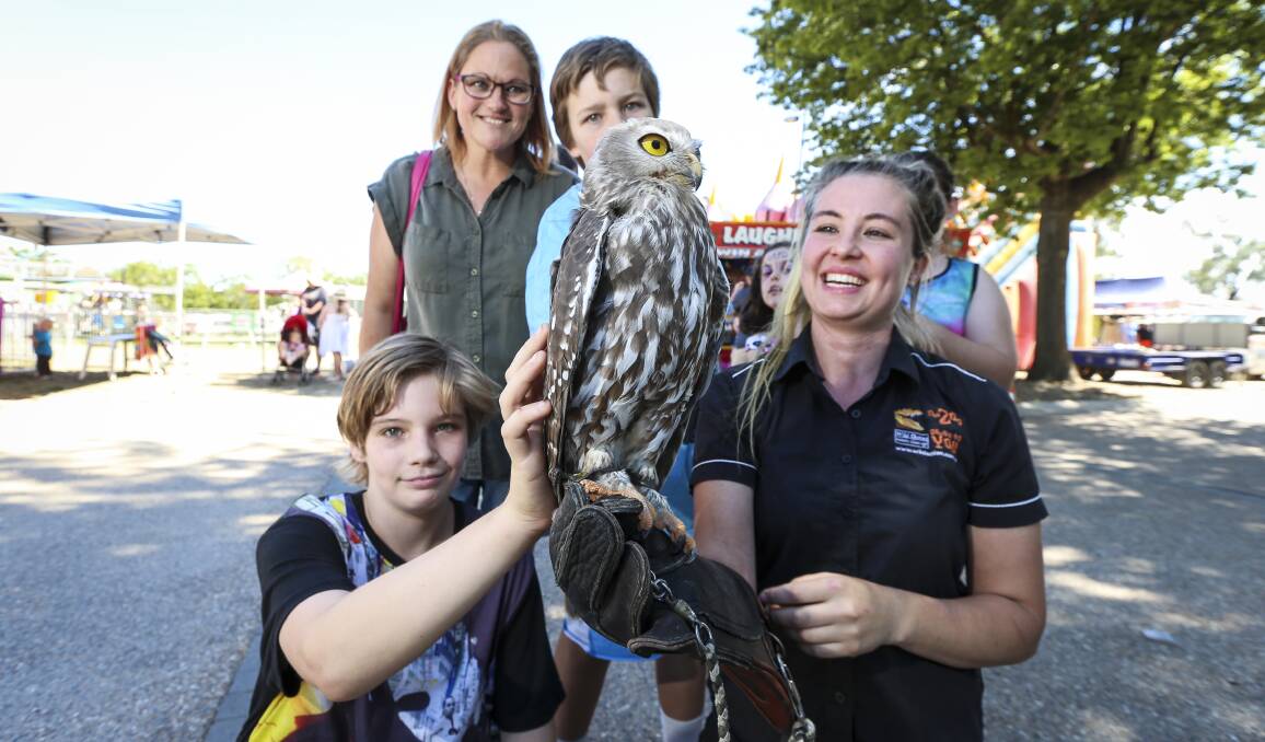 EYE OF THE OWL: Animal fan Josh Morgan, 13, of Baranduda meets Connie the barking owl and Liz Ash from Wild Action with mum Kylie and brother Jackson, 10, at the 2017 Wodonga Show. Pictures: JAMES WILTSHIRE