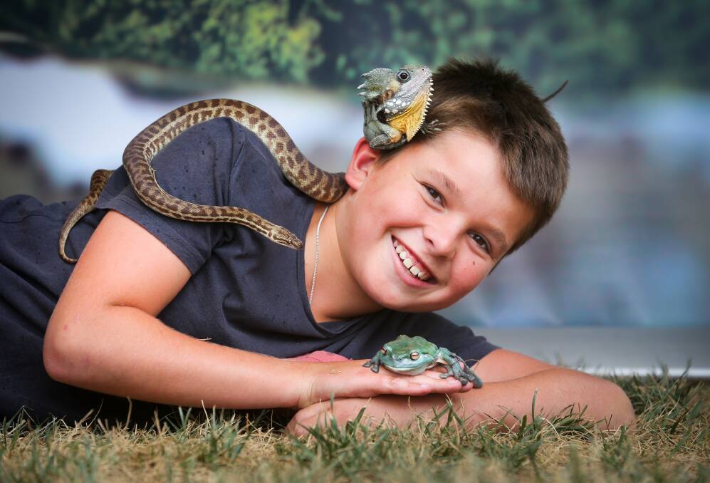 SLICK: Mitch Hack, 11, from Wodonga met Chris Humfrey's Stimson's python, Boyd's forest dragon and green tree frog. Picture: KYLIE ESLER