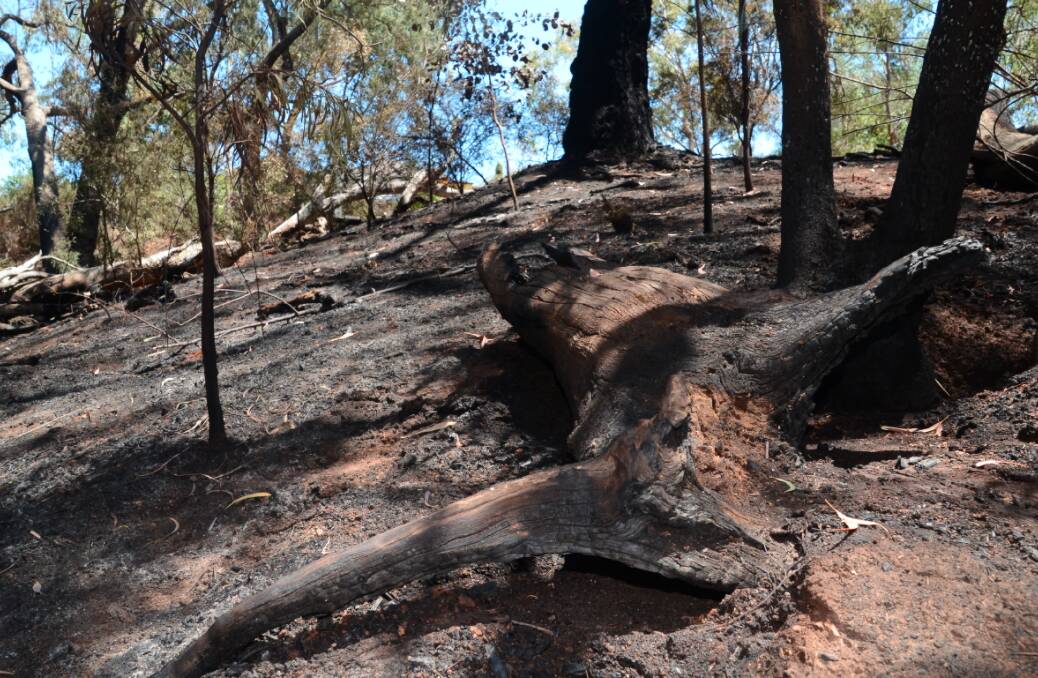 CONSEQUENCES: Firefighters are warning against the use of illegal fireworks this Friday. This blaze in January near Urana Road in Lavington was thought to be sparked by fireworks. Picture: BLAIR THOMSON