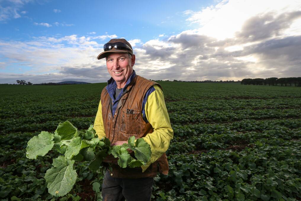 Gary Drew is feeling good about his canola crop at Brocklesby. Picture: JAMES WILTSHIRE