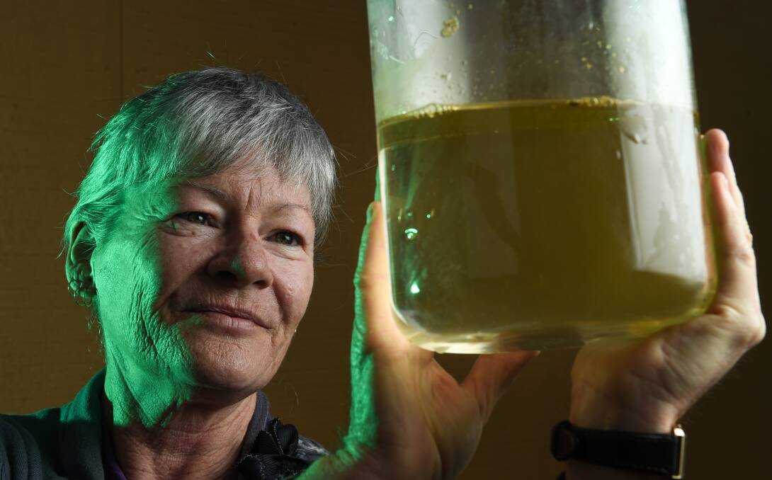 UNCLEAR: TAFE NSW Riverina fresh water ecologist Alison Mitchell explored the science behind the blue-green algae bloom. Picture: MARK JESSER
