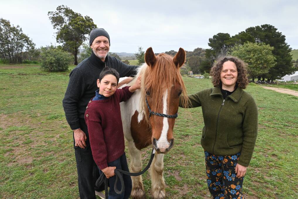 HAPPY ENDING: Pippin, Angel Cropley's therapy horse, was found in the Buckland Valley on Friday after an extensive search led by Angel's Stepfather, Tom Mullinar, and Mum Sascha Yeomans. Picture: MARK JESSER