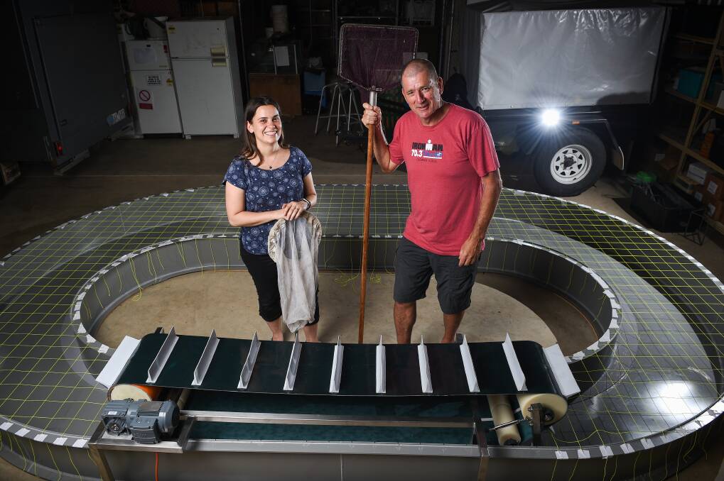 TEST: Lorena Nogueira has created a flume tank, with help from Murray-Darling Freshwater Research Centre's Daryl Nielsen. Picture: MARK JESSER