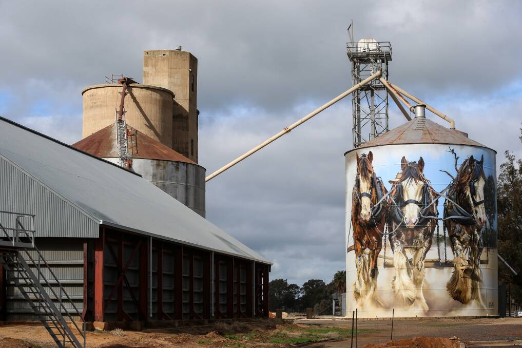 The silo art at Goorambat complements the Wall to Wall festival and is part of a silo art trail. Picture: JAMES WILTSHIRE