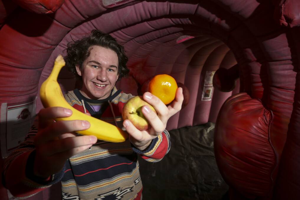 STATEMENT: Theo Smith, 16, of Wodonga walks through the Big Bowel - a seven-metre inflatable replica of the colon - visiting Albury to raise awareness of the second-most common cancer in the North East. Picture: JAMES WILTSHIRE