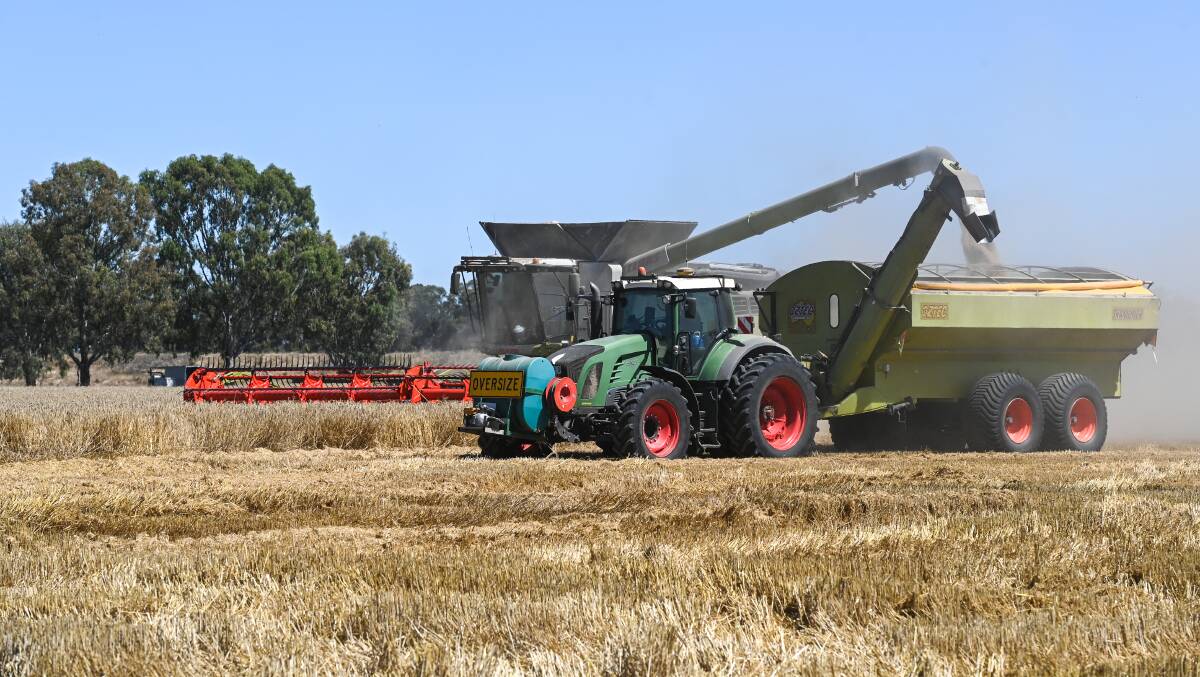 The harvest will continue following Christmas. Picture: MARK JESSER