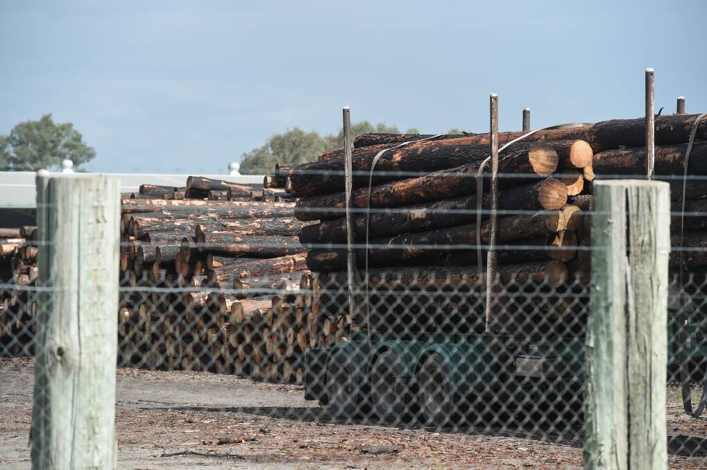 Logs burnt in the summer's bushfires are being salvaged and taken to Holbrook and then onto Melbourne. Picture: MARK JESSER
