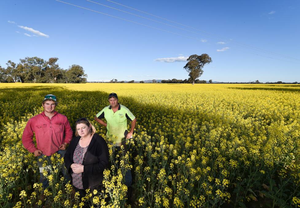 WITS' END: In 2018, Sharon and Stephen Feuerherdt and their son Josh told of concerns for a large solar farm next to the property in Culcairn. Two years later, their worst fears are materialising. Picture: MARK JESSER