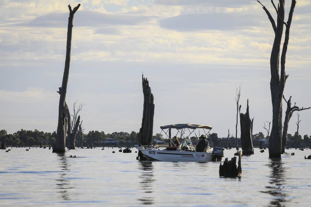 Lake Mulwala "is considered one of the most productive Murray Cod fisheries in Australia"