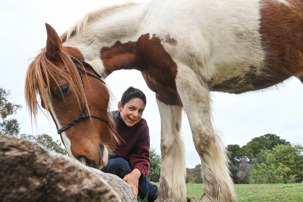 Beechworth boy Angel Cropley, 12, is ecstatic his therapy horse Pippin was found after three days lost in the bush. Picture: MARK JESSER