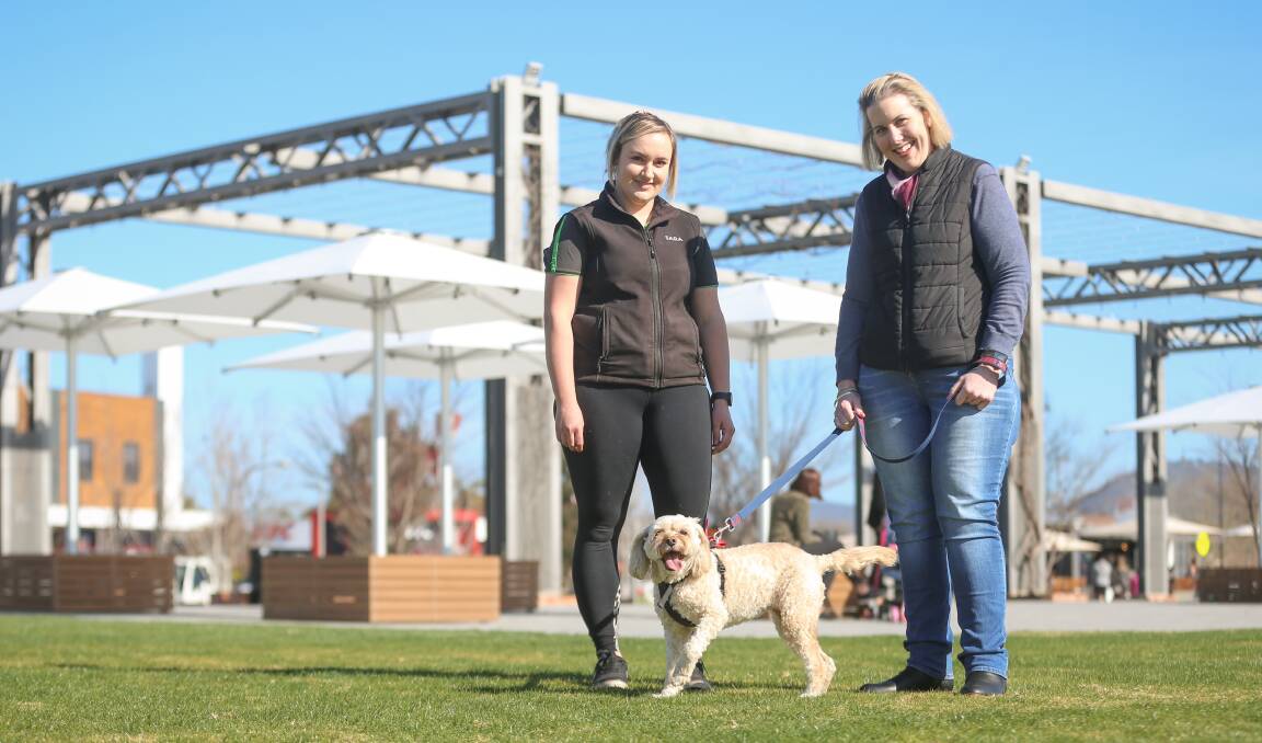 ON TOP: The Dog Education Centre's Sara Fairley, Liza Hill and Mocco celebrate the cavoodle being ranked as popular. The list was released last week. Picture: JAMES WILTSHIRE