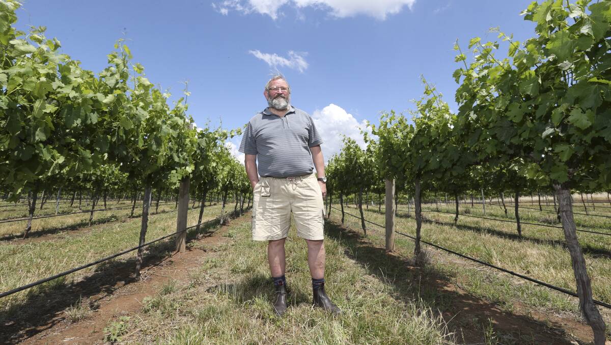 NEXT STEPS: Chris Pfeiffer says small-scale ferments are being done to assess the impact of smoke taint on grapes at Pfeiffer Wines. The impact has been widespread.