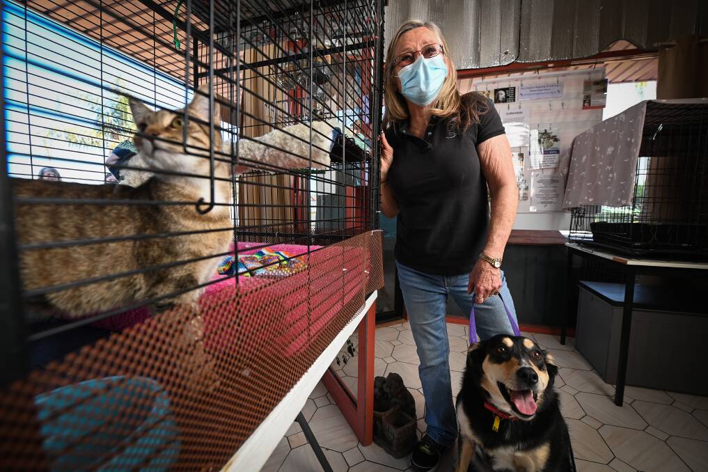 Wodonga Dog Rescue's Peta McRae has raised the need to reopen the Wodonga pound, pushing to make it a council election issue. Picture: MARK JESSER