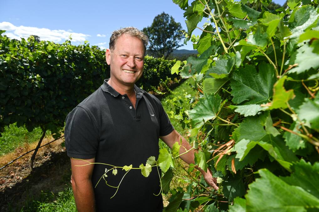 COME STAY: Dal Zotto Wines' chief executive and winemaker Michael Dal Zotto is excited to offer new tourism accommodation at the winery this year. Works have started on a wider, Prosecco Road project enhancing the King Valley. Picture: MARK JESSER